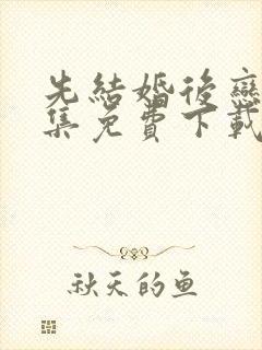 先结婚后恋爱全集免费下载