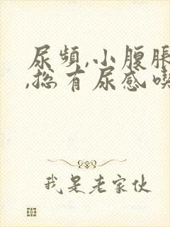 尿频,小腹胀痛,总有尿感吃什么药