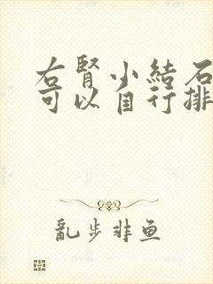 右肾小结石多久可以自行排出