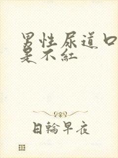 男性尿道口肿但是不红