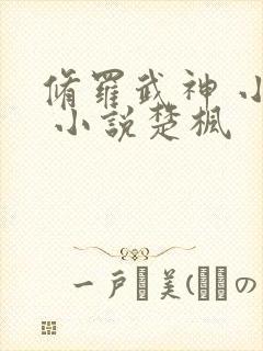 修罗武神 小说 小说楚枫