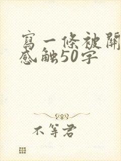 写一条被关爱的感触50字