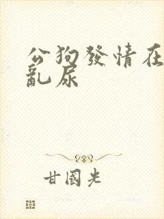 公狗发情在家里乱尿