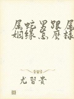 属蛇男跟属蛇女姻缘怎么样