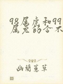 98属虎和99属兔的合不合婚