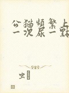 公猫频繁上厕所一次尿一点咋回事