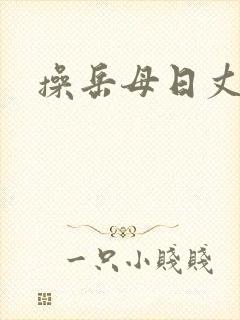 操岳母日丈母娘