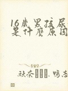 16岁男孩尿黄是什么原因