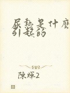 尿热是什么原因引起的