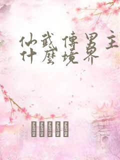 仙武传男主最后什么境界