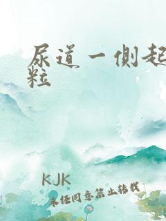 尿道一侧起小肉粒