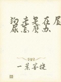 狗老是在屋里乱尿怎么办