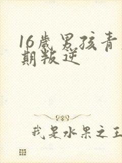 16岁男孩青春期叛逆