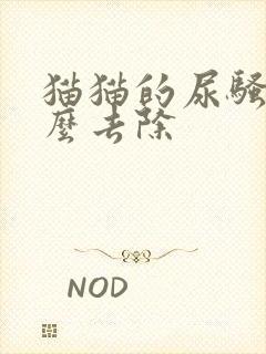 猫猫的尿骚味怎么去除