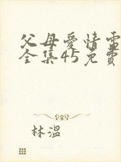 父母爱情电视剧全集45免费观看