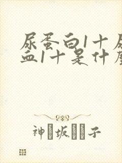 尿蛋白1十尿潜血1十是什么病