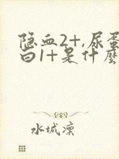 隐血2+,尿蛋白1+是什么意思