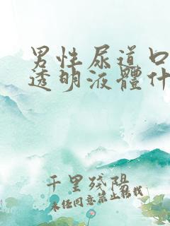 男性尿道口分泌透明液体什么原因