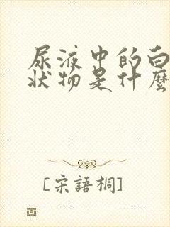 尿液中的白色絮状物是什么