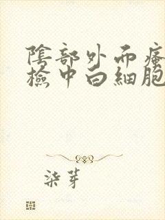 阴部外面瘙痒尿检中白细胞高