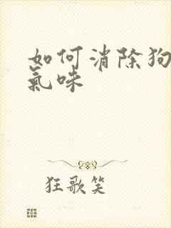 如何消除狗尿的气味