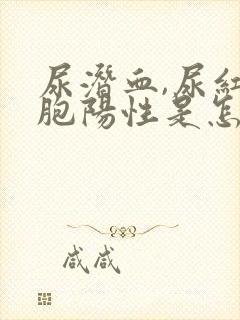 尿潜血,尿红细胞阳性是怎么回事