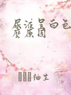 尿液呈白色是什么原因