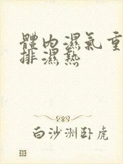 体内湿气重怎么排湿热