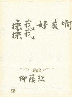 操我好爽啊使劲操我