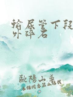 输尿管下段结石外碎石