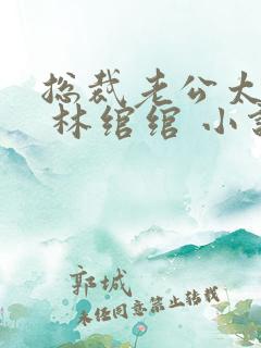 总裁老公太凶猛 林绾绾 小说