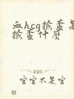 血hcg检查是检查什么