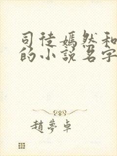 司徒嫣然和叶凡的小说名字