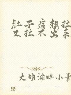 肚子痛想拉大便又拉不出来怎么办