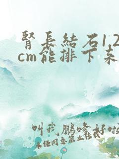 肾长结石1.2cm能排下来吗