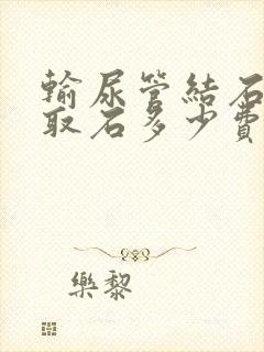 输尿管结石软镜取石多少费用