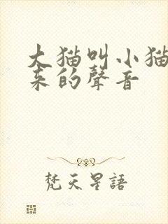 大猫叫小猫的出来的声音