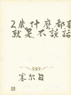 2岁什么都听懂就是不说话