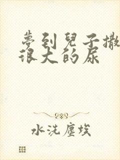 梦到儿子撒一泡很大的尿