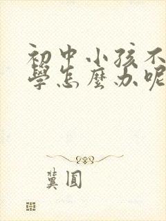 初中小孩不想上学怎么办呢