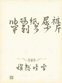 nb码纸尿裤能穿到多少斤