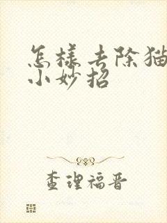 怎样去除猫尿味小妙招