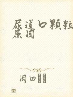 尿道口颗粒引起原因