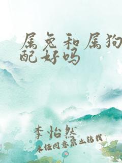 属兔和属狗的婚配好吗