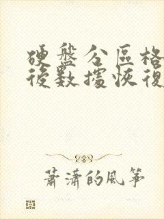 硬盘分区格式化后数据恢复