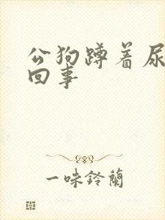 公狗蹲着尿怎么回事