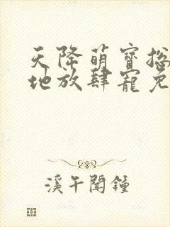 天降萌宝总裁爹地放肆宠免费阅读