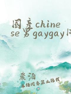 国产chinese男gaygay网站
