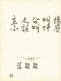 主人公叫杨洛的小说叫什么名字