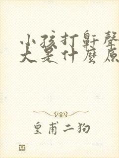 小孩打鼾声音很大是什么原因